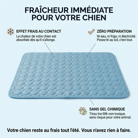 Friska, infographie fraicheur immediate pour chien