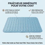 Friska, infographie fraicheur immediate pour chat
