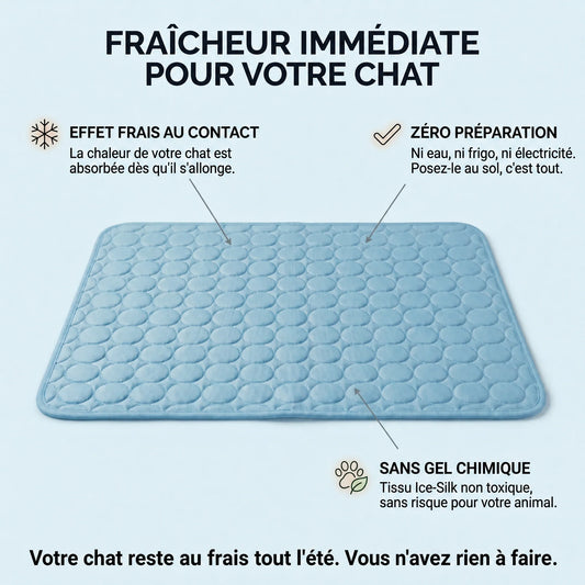 Friska, infographie fraicheur immediate pour chat