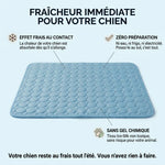 Friska, infographie fraicheur immediate pour chien