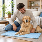 Friska, chien allonge sur le tapis rafraichissant bleu, ambiance salon