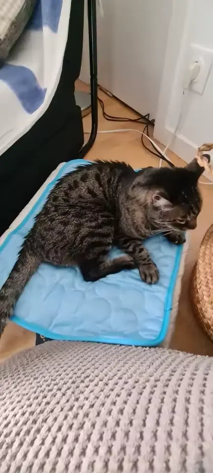 P. G.